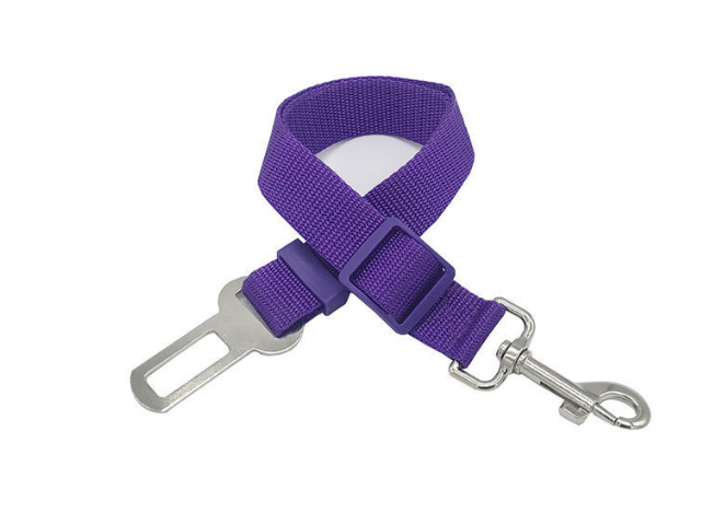 PawGuard Car Belt