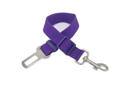 PawGuard Car Belt